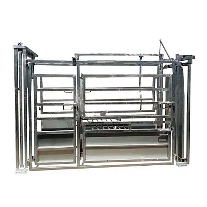 buy sheep squeeze chute