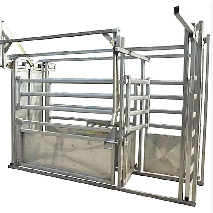 Sheep Squeeze Chute factory
